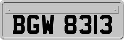 BGW8313