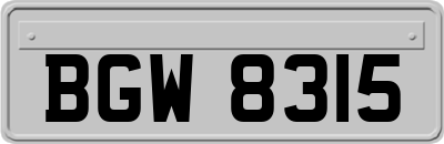 BGW8315