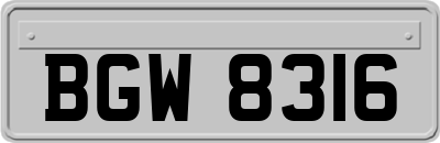 BGW8316
