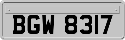 BGW8317