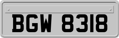 BGW8318