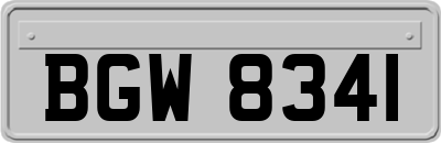 BGW8341