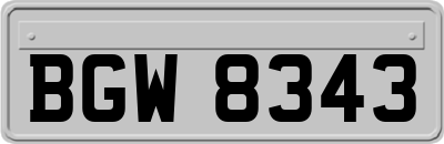 BGW8343