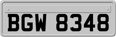 BGW8348