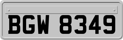 BGW8349