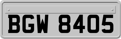 BGW8405