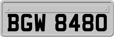 BGW8480