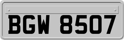 BGW8507