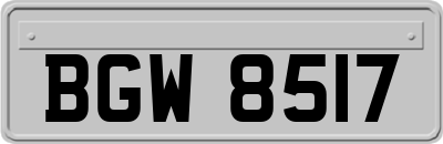 BGW8517