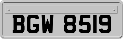 BGW8519