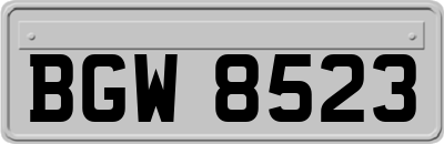 BGW8523