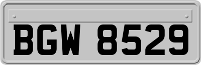 BGW8529