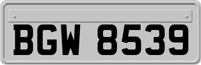 BGW8539