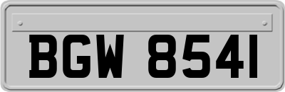 BGW8541