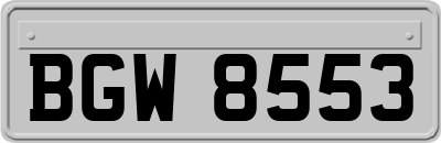 BGW8553