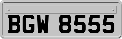 BGW8555