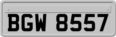 BGW8557