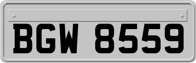 BGW8559