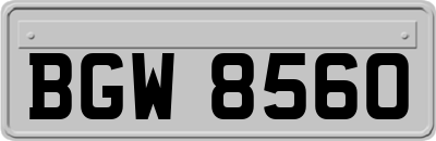 BGW8560
