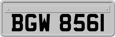 BGW8561