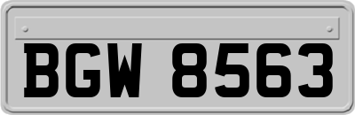 BGW8563