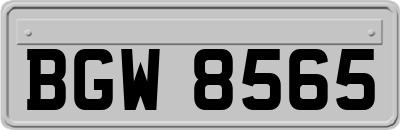 BGW8565