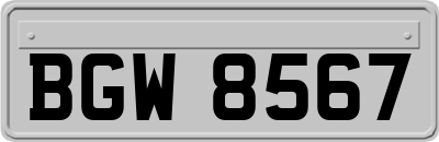 BGW8567