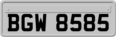 BGW8585