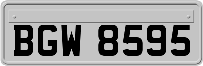 BGW8595
