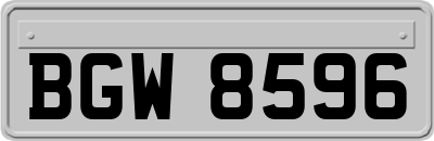 BGW8596