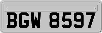 BGW8597