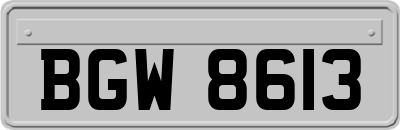 BGW8613