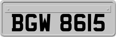 BGW8615