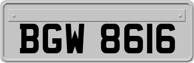 BGW8616