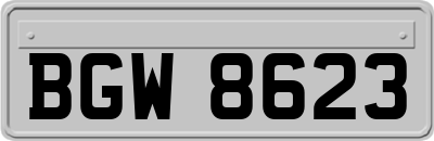 BGW8623