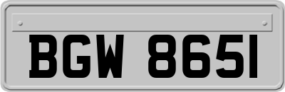 BGW8651