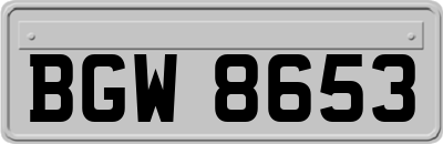BGW8653