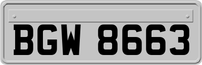 BGW8663