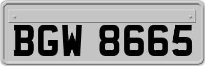 BGW8665