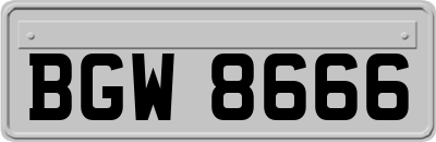 BGW8666