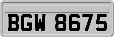 BGW8675