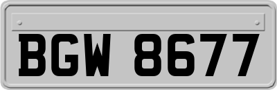 BGW8677