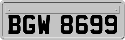 BGW8699