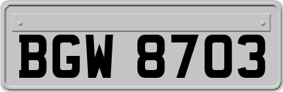 BGW8703
