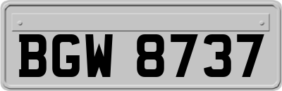 BGW8737