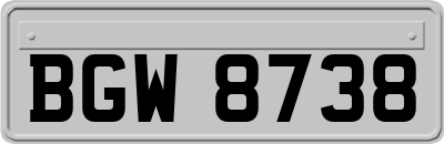BGW8738