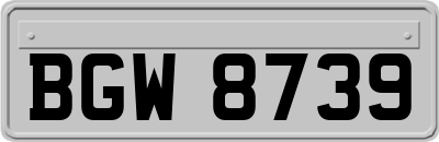 BGW8739