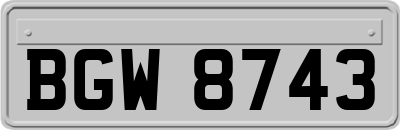 BGW8743
