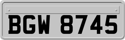 BGW8745