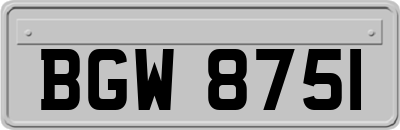 BGW8751